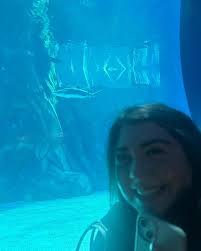 Tried to take a pic with a shark but it was fast…. Thanks Katie for taking  me to see fish
