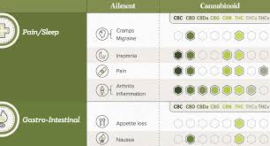 The Science Behind The 13 Billion Medical Cannabis Industry