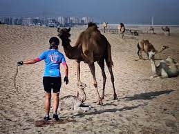 My uncle drove his dodge viper and hummer there. Watch How A Dubai Nurse Saved The Life Of A Newborn Camel In The Desert Uae Gulf News