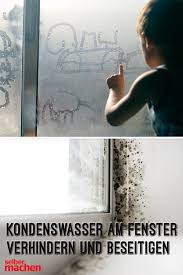 Gesunder Wohnern Kondenswasser Verhindern Und Beseitigen In 2021 Movie Posters