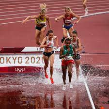 Steeplechase sports bar & grill, camden, south carolina. Tsthzccoohwv1m
