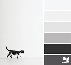 Creature Tones Design Seeds Black Color Palette Monochromatic Color Scheme Grey Color Palette