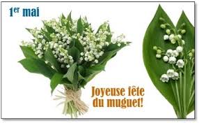 Wide variety of hanging baskets, annual,. The Mayflower The Flower Behind The Name Laidback Gardener