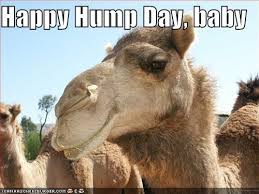 Happy easter to a very special little girl/boy! Happy Hump Day Baby Hump Day Humor Camels Funny Hump Day Quotes
