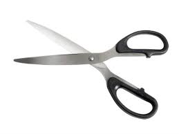 Wet your pubic hair so it's easier to cut. The Best Ways To Remove Pubic Hair Boldsky Com