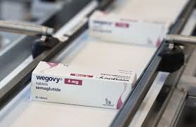 Wegovy-maker Novo faces calls to map out strategy beyond weight-loss drugs