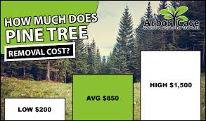 Here is a list of the services offered by most tree surgeons: Tree Removal Cost 2020 Average Prices Near Me
