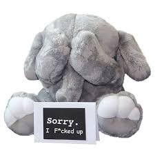 State the details of the situation. 26 Best Apology Gifts For Him Gifts That Say I M Sorry