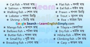 Pin By Dibakar Chowdhury On English Vocabulary English Vocabulary English Sentences Vocabulary