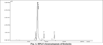 Image result for Embelia ruminata