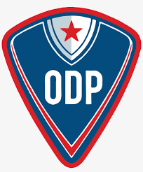 The women's olympic soccer tournament is stacked in tokyo and it has already been one heck of a. Alexa Joshi And Nina Bradshaw As Champions With The Soccer Olympic Development Program 885x1024 Png Download Pngkit