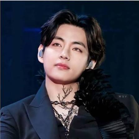 Kim Taehyung BTS V (@borahaetaehyung03) • Facebook