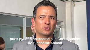 #Mascotas 🐾 ¿Se acuerdan de Valentín? El único perrito que sobrevivió  luego de que cayera junto con otros a un charco de aparente chapopote al  sur de la capital. Pues ya está sano y listo para ser ...