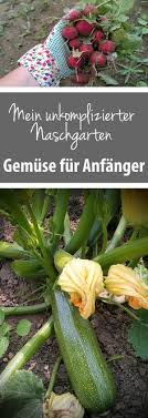 Unkomplizierter Naschgarten Gemuse Fur Anfanger Gruneliebe Garten Bepflanzen Garten Pflanzen Pflanzen