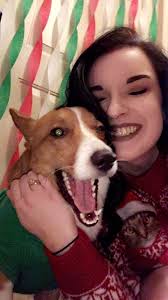 How do you count cows? Using a cownter