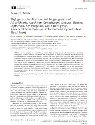 Image result for Coelachyrum