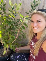 I want to extend a heartfelt Thank you to Malou Lopez-Urbano, Todd Alvis,  Darren Eminian, Argo Muria New, and all the many others who have helped me  learn how to grow and