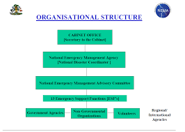 (7) the term emergency management means the governmental function that coordinates and integrates all activities necessary to build, sustain (1) ensure that the multiple information technology systems of the agency (including the national emergency management information system, the. Https Publications Iadb Org Publications English Document Index Of Governance And Public Policy In Disaster Risk Management Igopp National Report For Bahamas Pdf