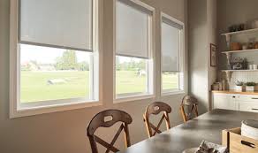 Shop Custom Graber Blinds Shades At Lowes