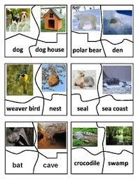 Animal Homes Animal Shelters Center Station Animals And Their Homes Animal Shelter Animal House