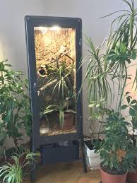 Pin By Leah Hoek On Pet Mom In 2020 Chameleon Cage Chameleon Pet Veiled Chameleon