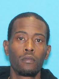 Lost Dogs in Matthews, North Carolina