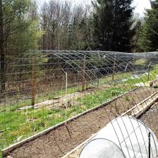 How to build a trellis for gourds. How To Use And Build Bean Arches Mother Earth News