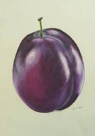 Original Food Drawing By Jessica Casper Photorealism Art On Paper Purple Plum Fruits Drawing Drawings Plum Paint