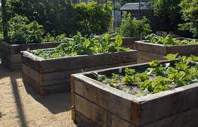 Unley Park Garden Design Lydie Paton Raised Garden Beds Veggie Gardens Recycled Reclaime Vegetable Garden Raised Beds Vegetable Garden Design Veggie Garden