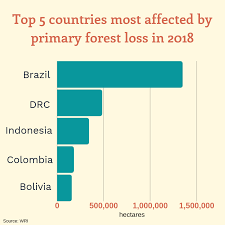 Global Forest Loss In 2018 Equal To The Size Of Belgium