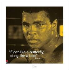 Pyramid International i.Quote-Sting Like a Bee Muhammad Ali Art Print,  Paper, Multi-Colour, 40 x 40 x 1.3 cm : Amazon.co.uk: Home & Kitchen