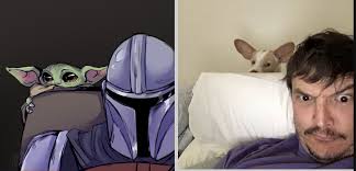 Peek A Boo Star Wars Humor Star Wars Memes Star Wars Fandom