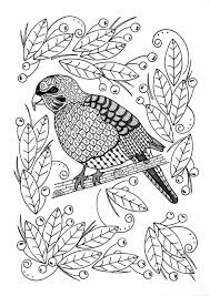 Find lots of easy and adult coloring books in pdf format online at primarygames. Pin On Adult Coloring Pages