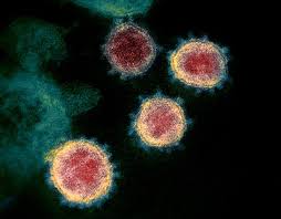 Trump focuses attention on possible coronavirus treatments