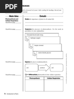 Image result for Agrocharis pedunculata