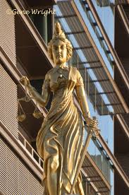 Image result for Justicia nuttii