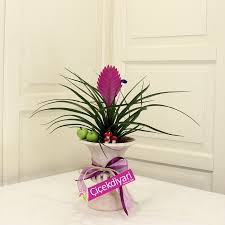 Bu günde onlara yollayacağınız bir mesajla, sevdiğinizin mutlu olmasını sağlayın. Cicek Diyari Yeni Is Tebrigi Cicekleri Harika Yeni Is Cicegi