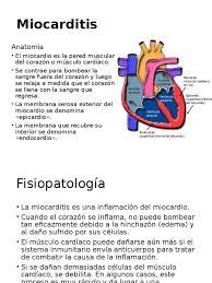 These cells also release chemicals. Miocarditis Musculo Cardiaco Corazon