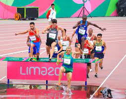 What are the rules for steeplechase at the olympics? Behrend Faculty Member Training For Olympic Steeplechase Team Penn State University