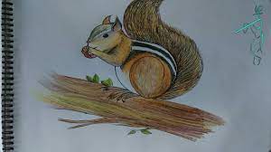 Check spelling or type a new query. Easy Way To Draw Squirrel For Kids And Beginners Youtube