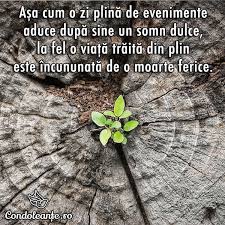 Mesaje de condoleanțe prin care ne exprimăm regretele pentru trecerea la cele veșnice a persoanelor dragi. 100 Mesaje De Condoleante Idei Citate Imagini
