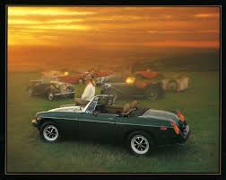 Image result for Snapdragon Yellow 1980 MG