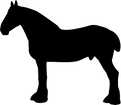 Image result for "draft" -site:wikipedia.org -site:wikimedia.org