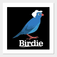 Mother nature appeared to endorse bernie sanders for president through a surrogate bird, which landed in front of the democratic hopeful during his speech. Birdie Sanders Bernie Sanders Bird Shirt Birdie Sanders Posters And Art Prints Teepublic