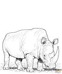Plus, it's an easy way to celebrate each season or special holidays. Rhino Coloring Pages Free Coloring Pages Coloring Library