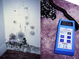 Maybe you would like to learn more about one of these? Mold Image Library Mold Us Epa