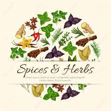 I've seen as a general rule that you should add spices and dried herbs at the beginning with the onions/garlic part to give them a chance to release their . Herbal Spices And Spicy Herbs Poster Of Vector Seasonings And Cooking Condiments Anise And Oregano Rosemary