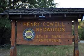 We did not find results for: Henry Cowell Redwoods State Park Campground Scotts Valley California Womo Abenteuer
