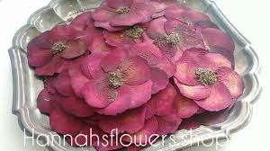 We did not find results for: Preservation Hannah S Flowers