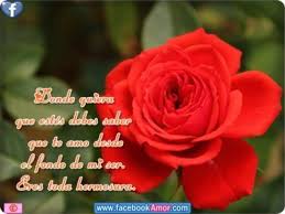 Pin En Imagenes De Flores Hermosas Con Frases
